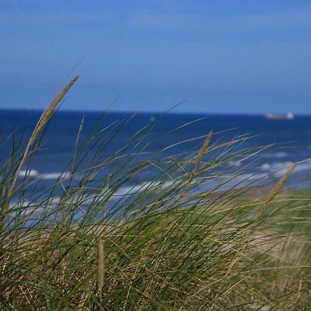 De Blaauboer, Vakantiehuisje Egmond aan Zee Exterior foto