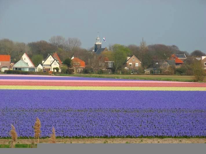 De Blaauboer, Vakantiehuisje Egmond aan Zee Cameră foto