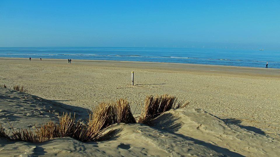 De Blaauboer, Vakantiehuisje Egmond aan Zee Exterior foto